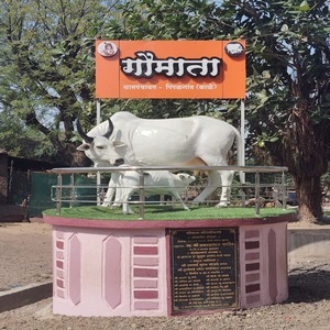 WhatsApp Image 2025-05-07 at 11.38.32 AM - PIMPALGAON KALE (1)